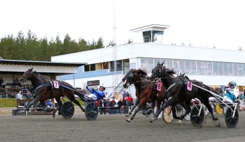 Foto av Maria Holmén/TR Bild